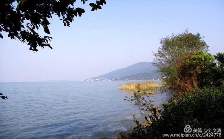 1591169164746859.jpg 7.jpg