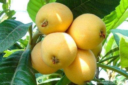 1591169273337541.jpg 29.jpg