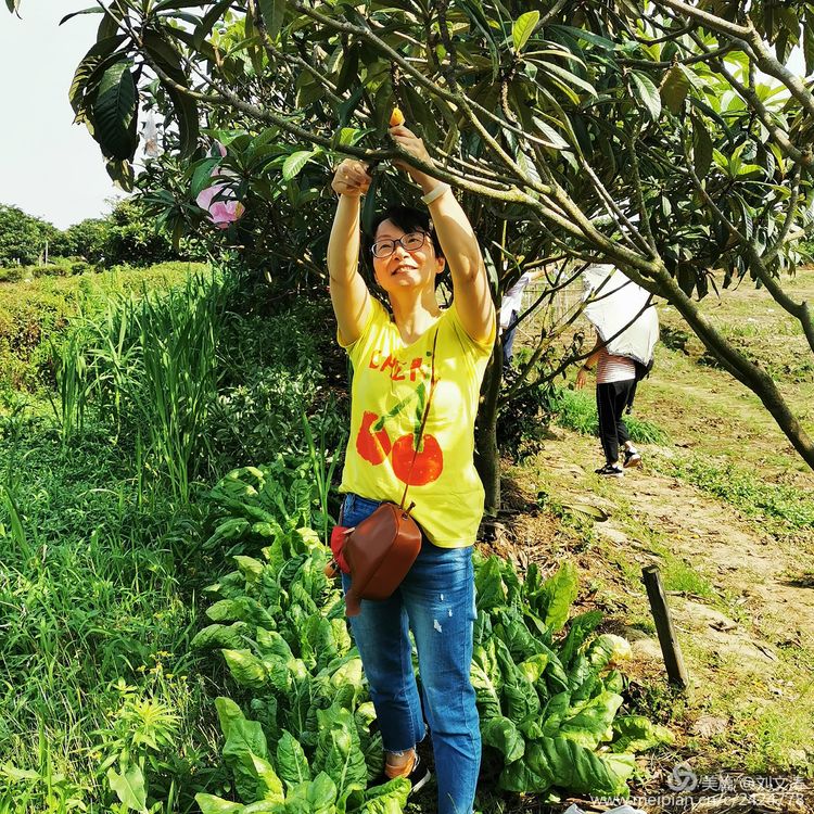 1591169343114094.jpg 39.jpg