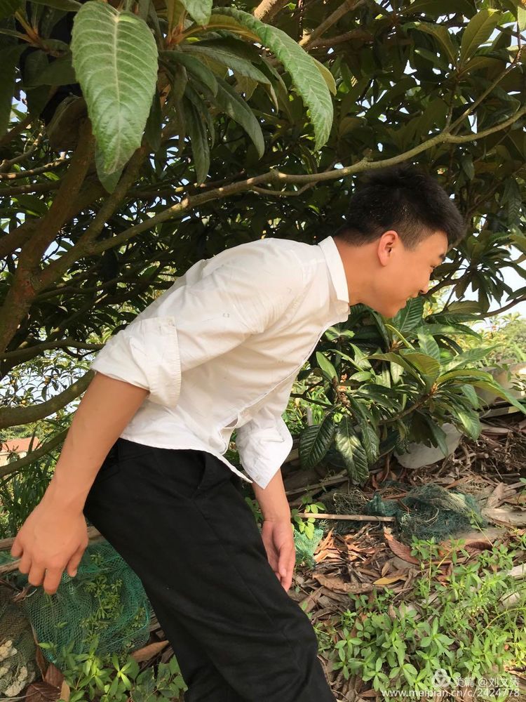 1591169353137684.jpg 41.jpg