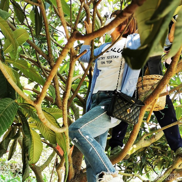 1591169357729819.jpg 42.jpg