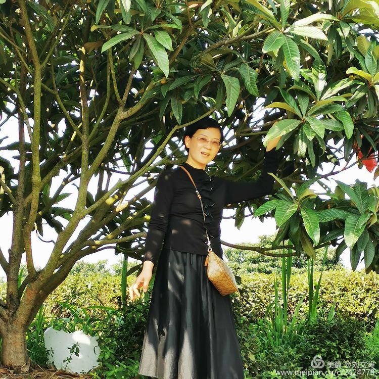 1591169378970840.jpg 47.jpg