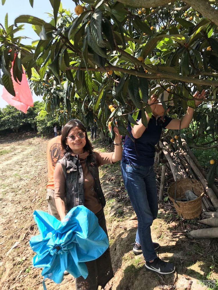 1591169386326783.jpg 49.jpg