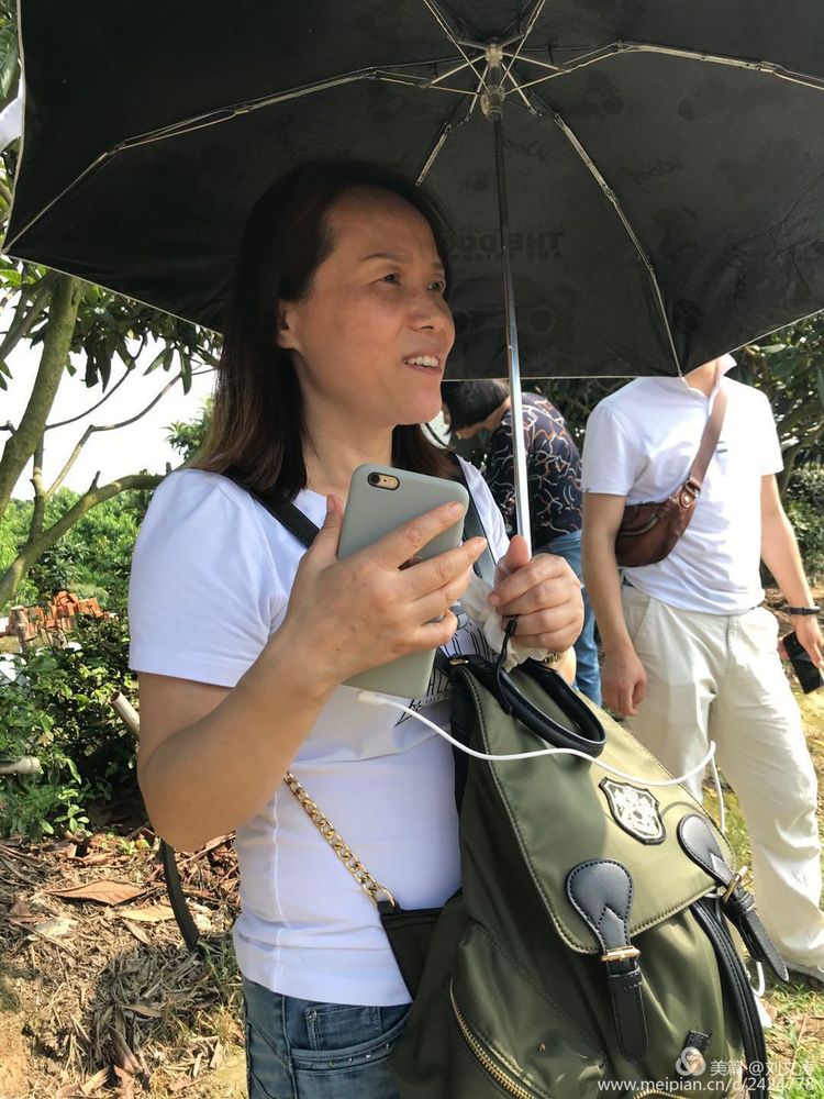 1591169393639839.jpg 50.jpg