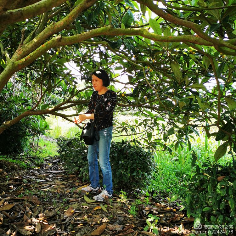 1591169401390943.jpg 52.jpg