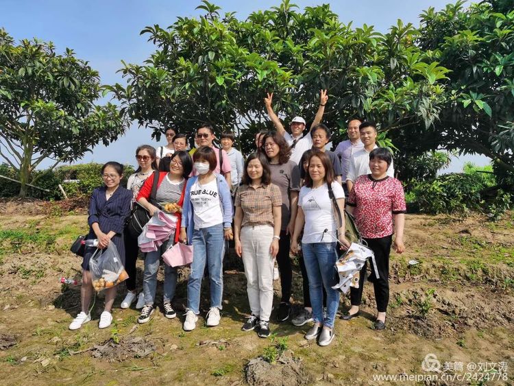 1591169417575765.jpg 55.jpg