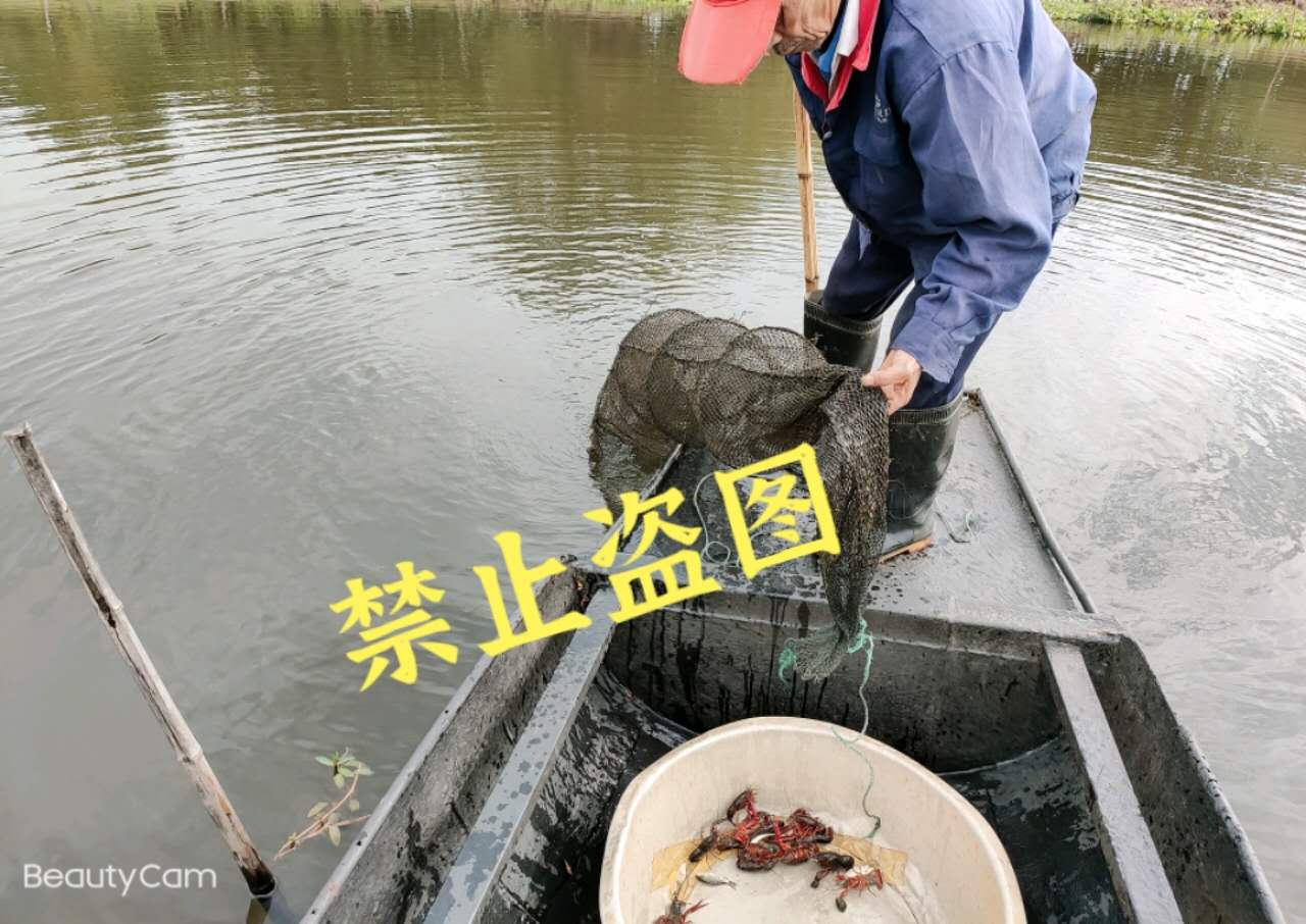 1602859961263071.jpg ade294c7c321d70b5c48e2403ac6c4d.jpg