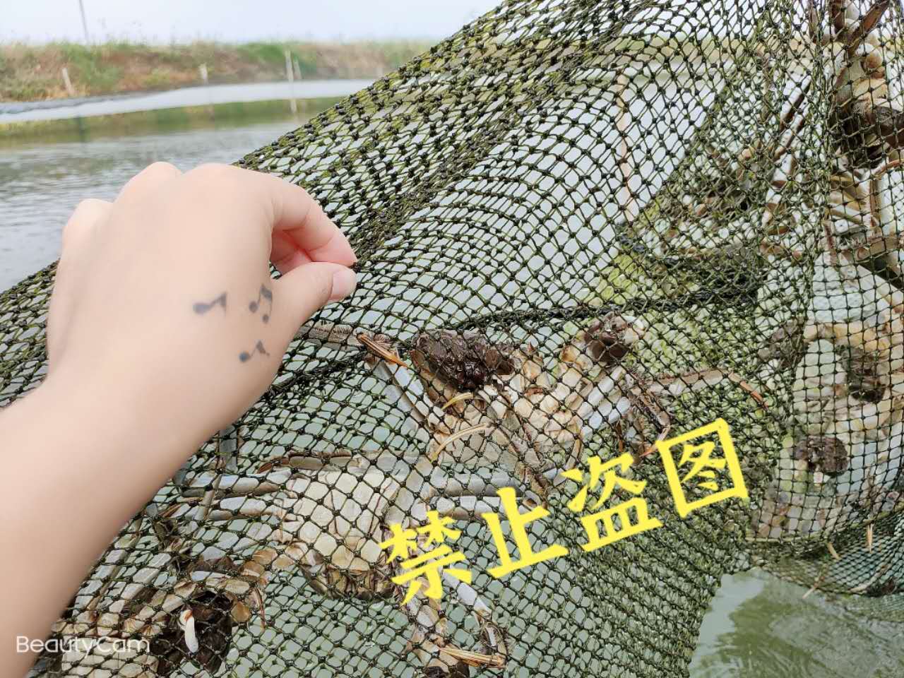 1602860088949336.jpg 71727bed7b4a13f929a5d595402b54a.jpg