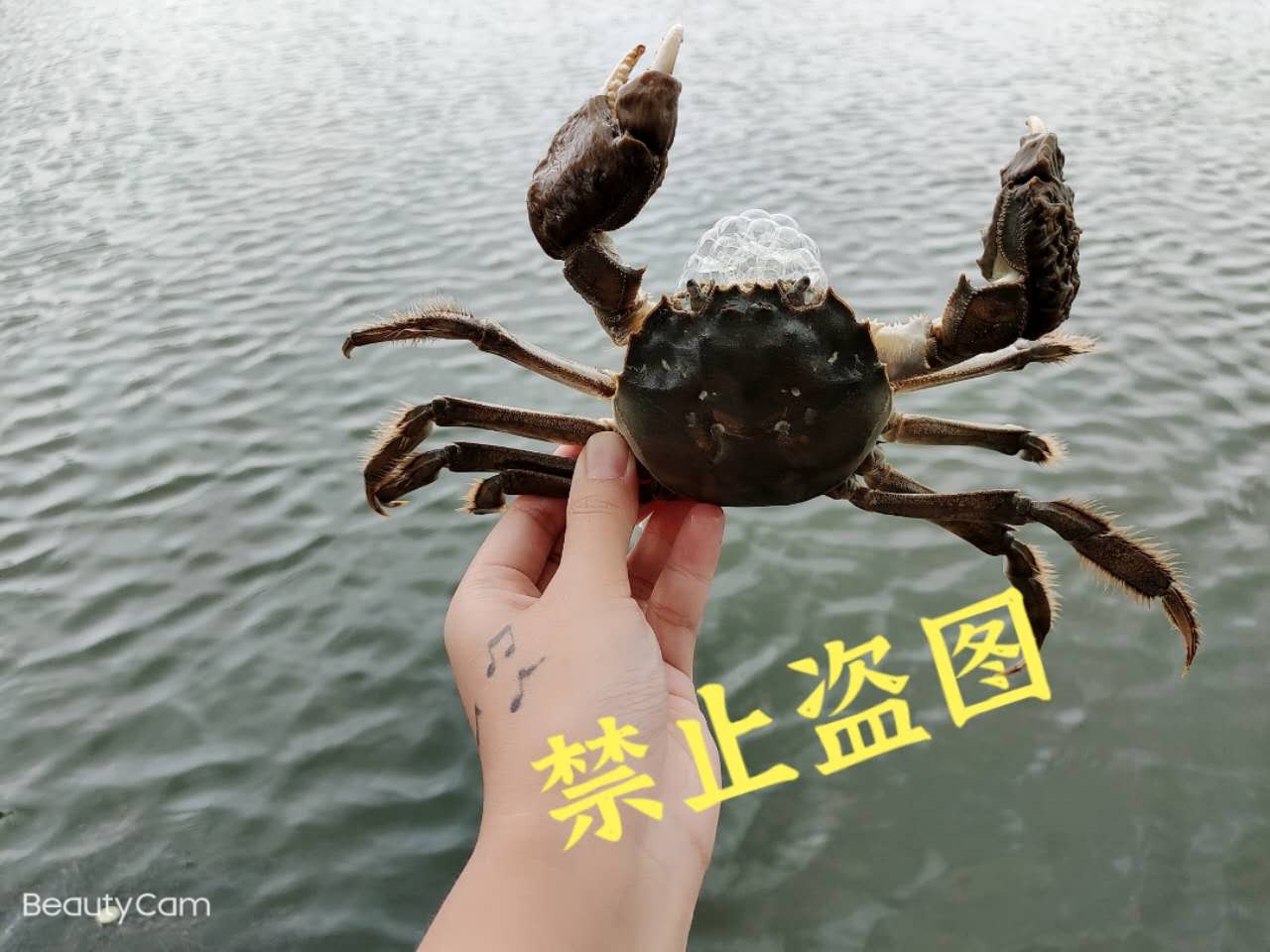 1602860151165191.jpg 9aa8abab0399fb14ab2efb9d6bfac3d.jpg